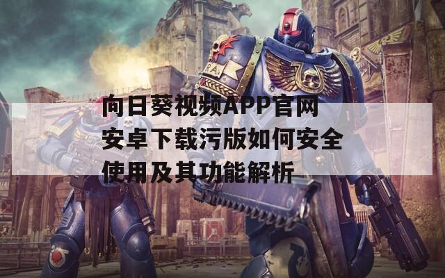 向日葵視頻APP官網(wǎng)安卓下載污版如何安全使用及其功能解析  第1張