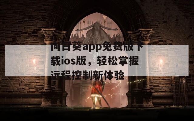 向日葵app免費版下載ios版，輕松掌握遠(yuǎn)程控制新體驗