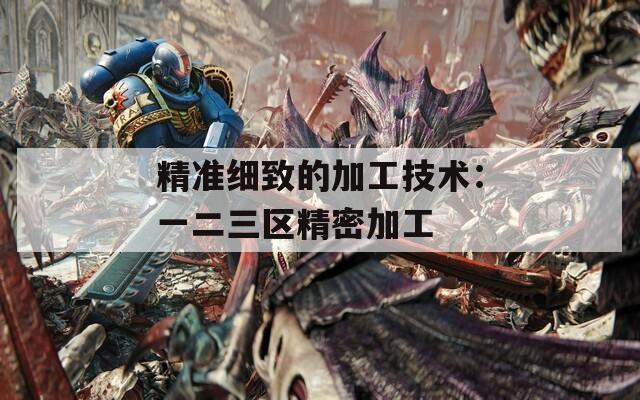 精準(zhǔn)細(xì)致的加工技術(shù)：一二三區(qū)精密加工