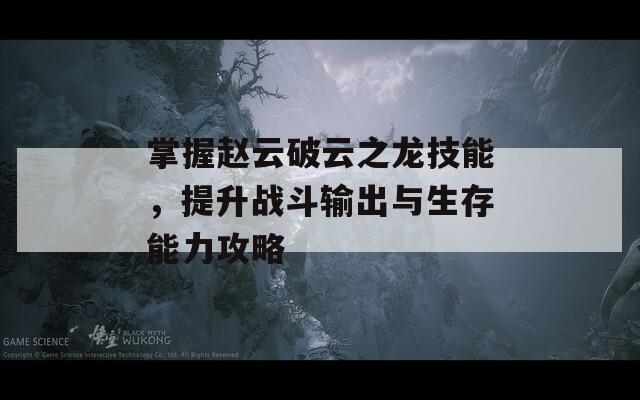 掌握趙云破云之龍技能，提升戰(zhàn)斗輸出與生存能力攻略