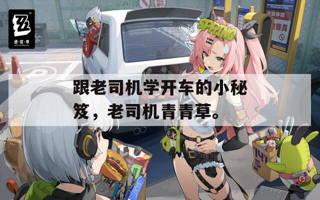 跟老司機學開車的小秘笈，老司機青青草。