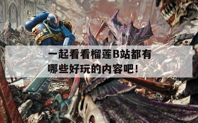 一起看看榴蓮B站都有哪些好玩的內(nèi)容吧！