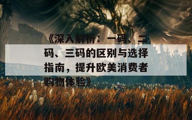 《深入解析：一碼、二碼、三碼的區(qū)別與選擇指南，提升歐美消費(fèi)者購(gòu)物體驗(yàn)》