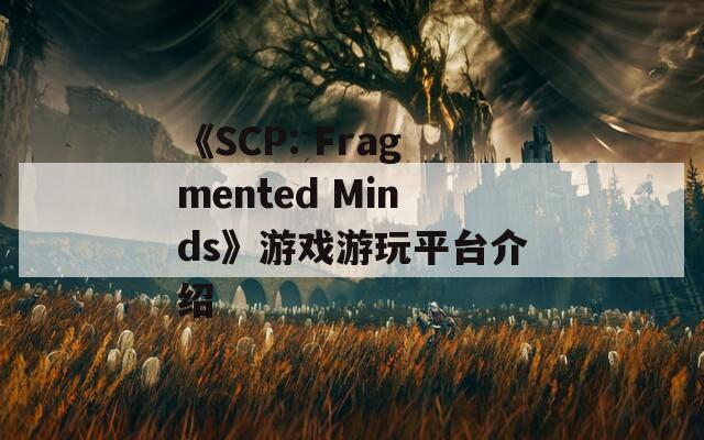 《SCP: Fragmented Minds》游戲游玩平臺(tái)介紹