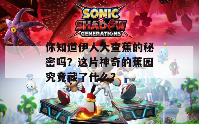 你知道伊人大查蕉的秘密嗎？這片神奇的蕉園究竟藏了什么？