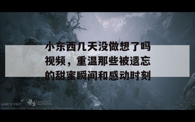 小東西幾天沒做想了嗎視頻，重溫那些被遺忘的甜蜜瞬間和感動時刻