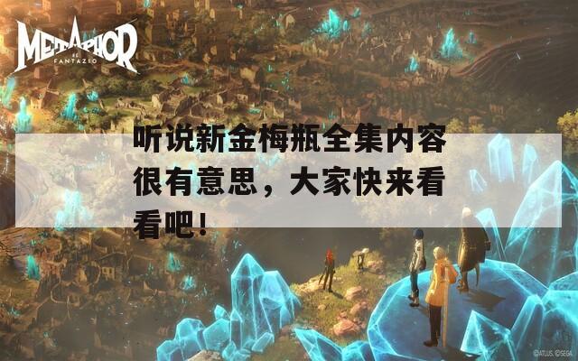 聽說新金梅瓶全集內(nèi)容很有意思，大家快來看看吧！