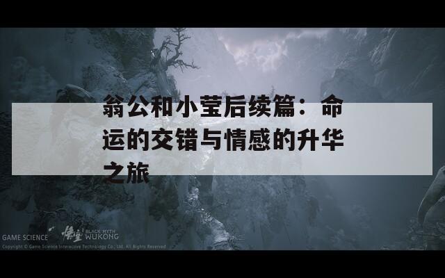 翁公和小瑩后續(xù)篇：命運(yùn)的交錯(cuò)與情感的升華之旅