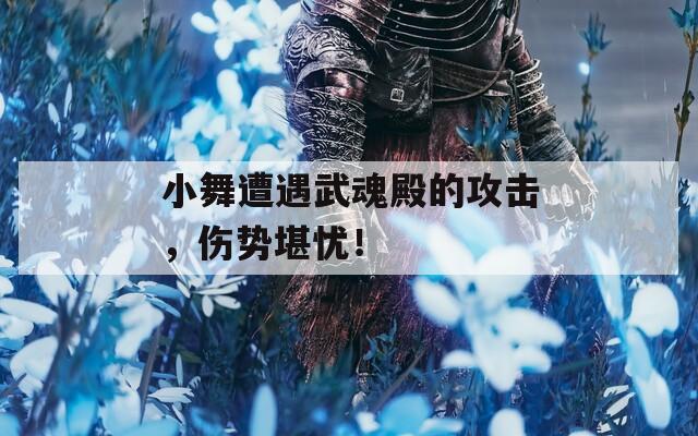 小舞遭遇武魂殿的攻擊，傷勢堪憂！  第1張