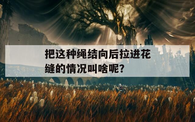 把這種繩結向后拉進花縫的情況叫啥呢？