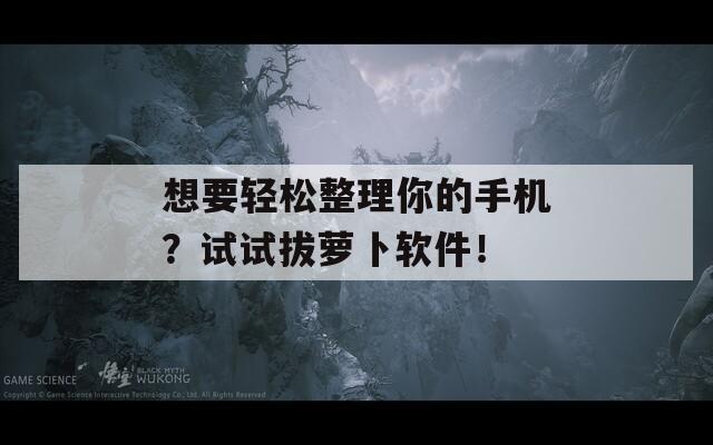 想要輕松整理你的手機(jī)？試試拔蘿卜軟件！